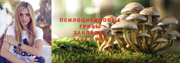 мет Рославль
