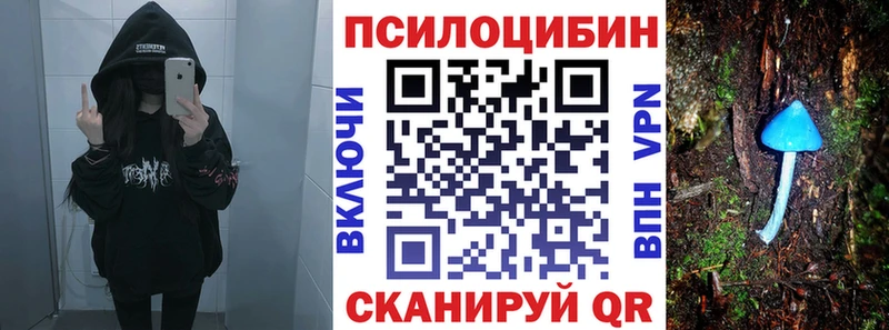 Галлюциногенные грибы MAGIC MUSHROOMS  купить наркотик  ссылка на мегу зеркало  Севск 